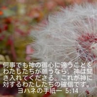 リクライニング車椅子の男