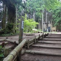 久し振りに金剛山に登った２