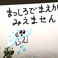 「トリプル台風」 ９号・１０号・１１号、九州には上陸しそうだわ。そして明日は東京オリンピック閉会式。
