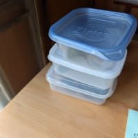 ギフ蝶の飼育
