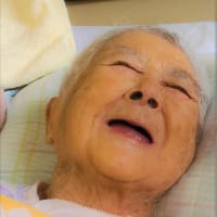 もう これ以上