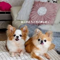 大阪土産と言えば…❔