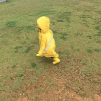 雨の日も外で