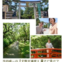 ホテルの部屋から京都タワー　いよいよ最終日です