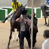 アメイジンググレイス・中編