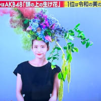 2025年6月26日(木) ゲリラ豪雨が上がったら、出掛けよう