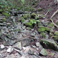 １ヵ月１０回ペースで、半年経過（760回目）