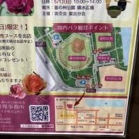 バラを見に亀水バラ園と番の州公園へ～＠香川県