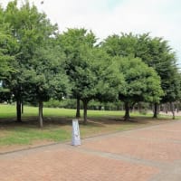 ぽかぽか広場（世田谷区）