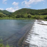 本日の海部川