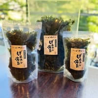 新たなお土産、海苔本来の旨みと口溶けをお楽しみいただけます「佐賀有明海産 ばら干し海苔」