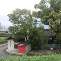 鳥飼大橋と舟渡し（東海道五十七次歩き旅・摂津国）