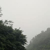 21083日目の空