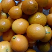 おチビちゃんだけど