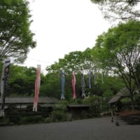 曇り空の舞岡公園　緑はしっとりと