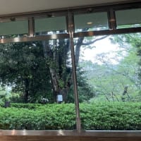 美術館