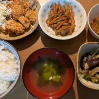 オム焼きそばのお弁当
