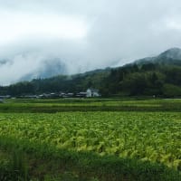 延岡ふるさと里山のチカラ再発見写真館NO3503