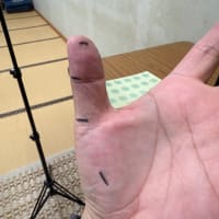 左手
