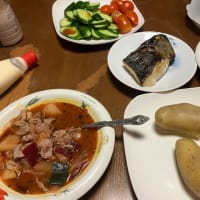 オクラ初収穫～菜園ライフ４２８