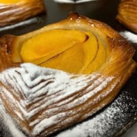 2024年11月のお知らせ