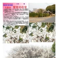 花巡り「梅－342」　久喜市　鷲宮の住宅