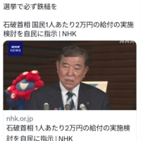 白い花