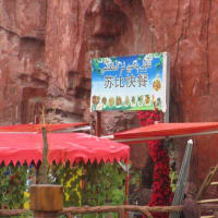 シルクロードの旅～⑭