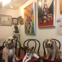 アトリエバラ美術教室・モデル犬レデーの訃報