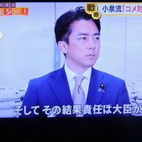  6/2 小泉総理を相談もしないで米やったの批判組　　それに対して
