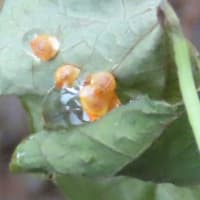 1ヶ月半も投稿せずに申し訳ありません