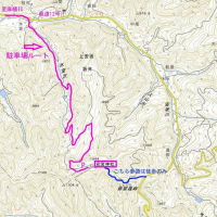 令和6年6月8日（土）　修那羅山安宮神社「ミヤコワスレ祭り」開催（場所：長野県東筑摩郡筑北村坂井）