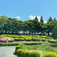 陽のあたる坂道