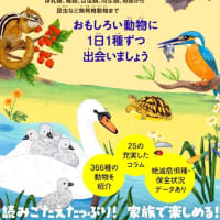  夏休み、親子で楽しむ１冊『動物366ずかん』 