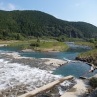 本日の海部川