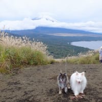 秋の明神山