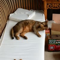 ３連休のベストショット。