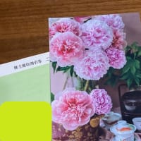 7/9　株主優待と絵葉書　優待にならないモノも多いのではないかしら…