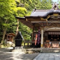去年と今年