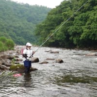 アユ釣り🎣に。
