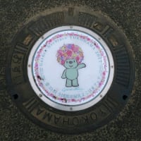 ステッカータイプは寿命が短くて残念【神奈川県・横浜市】