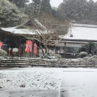 豊川市の雪は