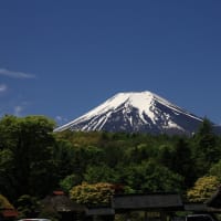 初夏の愛知・静岡の旅（３）富士五湖周遊：忍野八海