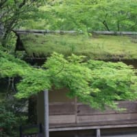 アイスクリームのさじ