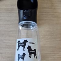 毎日暑い！！