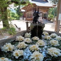 花手水（ちょうず）嵐山瀧神社（たきじんじゃ）