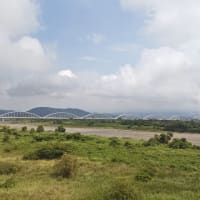 今日の富士山！