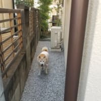 クリンへの想いは尽きなくて・・・307
