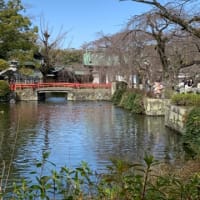 懐かしい景色