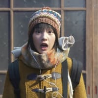 懐かしさ、切なさ、今っぽさ…おじさんの心つかんだ「あまちゃん」 